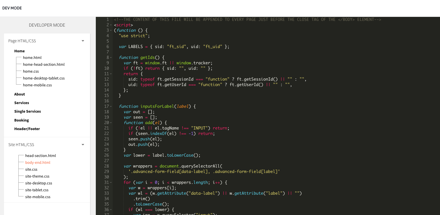 Duda body-end.html with the ft_sid / ft_uid injector script added